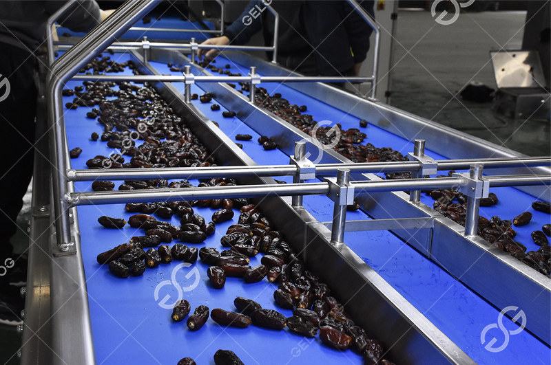 dates fruit picking machine 