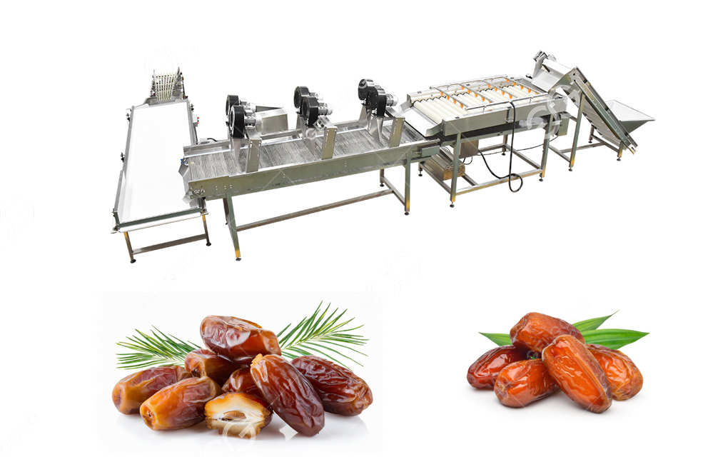 dates processing machine 