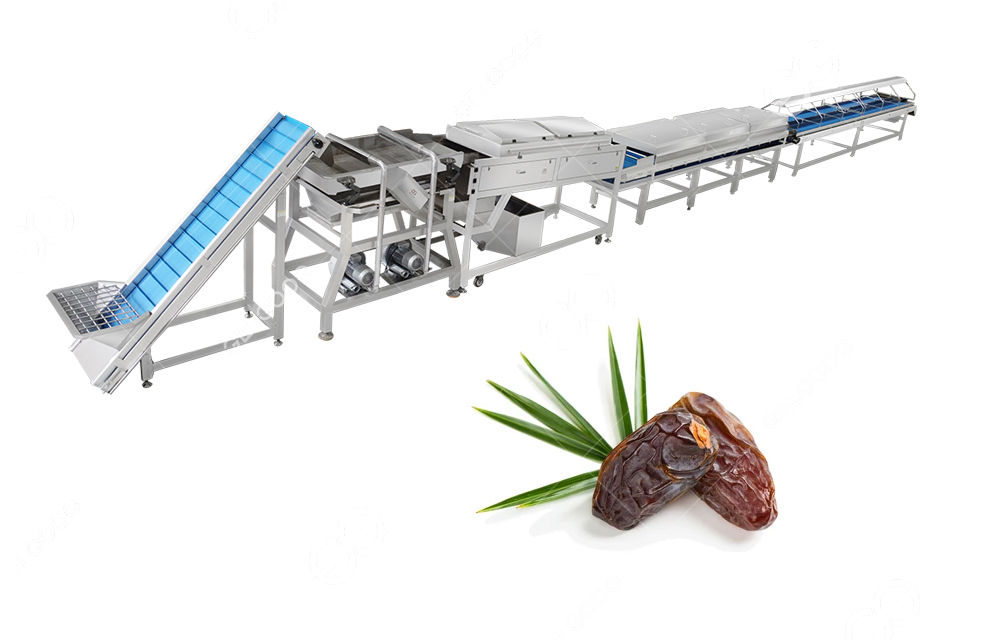 palm dates cleaning machine 